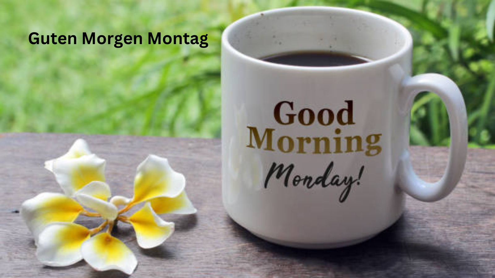 Guten Morgen Montag