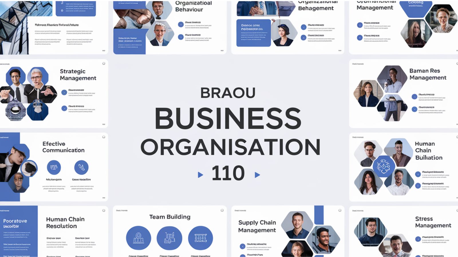 BRAOU Business Organization 110 PPT